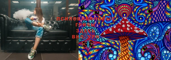 прущие грибы Алексин