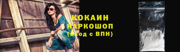 прущие грибы Алексин