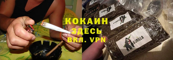 ГАЛЛЮЦИНОГЕННЫЕ ГРИБЫ Вяземский