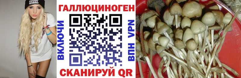 где можно купить   Устюжна  Галлюциногенные грибы прущие грибы 