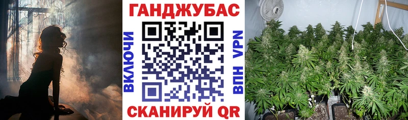 МАРИХУАНА конопля  Устюжна 